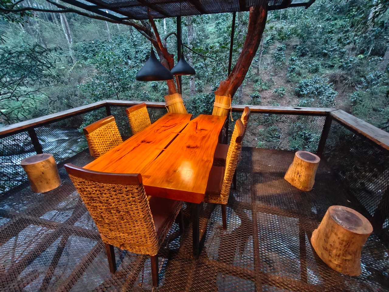 Gallery Cabin VIP 2